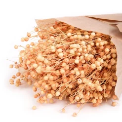 HOMLA Bukiet Suszek Roque Pomaranczowy 60 Cm New