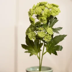 HOMLA Galazka Sztuczna Anise Anyz Zielona 48 Cm Best