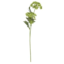 HOMLA Galazka Sztuczna Anise Anyz Zielona 48 Cm Best