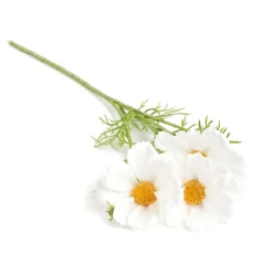 HOMLA Galazka Sztuczna Cosmos Biala 50 Cm Best