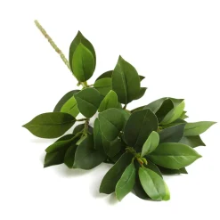 HOMLA Galazka Sztuczna Edera Liscie 79 Cm Best
