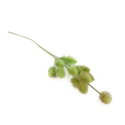 HOMLA Galazka Sztuczna Klusi Zielona 71 Cm Discount