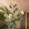HOMLA Galazka Sztuczna Mirtelo Zielona 60 Cm Ecru Sale