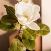 HOMLA Kwiat Sztuczny Hiya Magnolia 71 Cm Bialy Online
