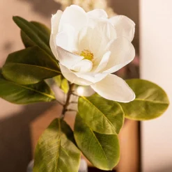 HOMLA Kwiat Sztuczny Hiya Magnolia 71 Cm Bialy Online