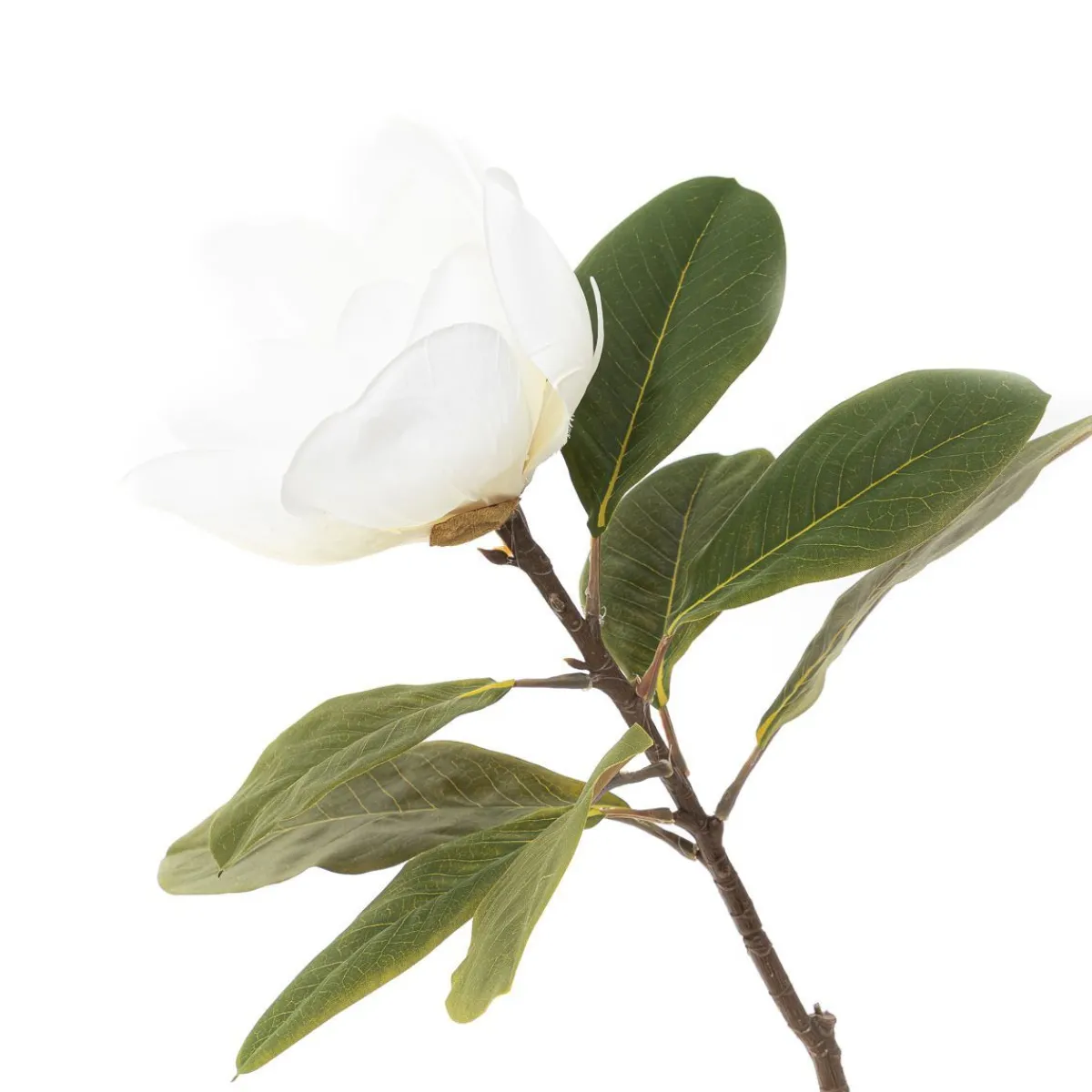 HOMLA Kwiat Sztuczny Hiya Magnolia 71 Cm Bialy Online