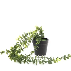 HOMLA Roslina Sztuczna Eucalyptus W Donicy Wiszaca 50 Cm Zielony