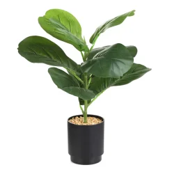 HOMLA Roslina Sztuczna Semela Fikus 43 Cm Outlet
