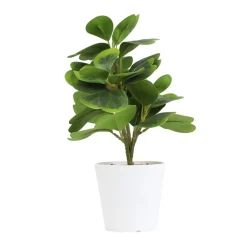 HOMLA Roslina Sztuczna Semela Peperomia 30 Cm Best