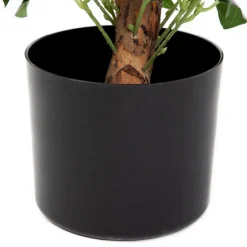 HOMLA Roslina Sztuczna Tropical Zone Drzewko Laurowe 90 Cm Discount