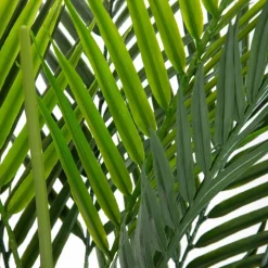 HOMLA Roslina Sztuczna Tropical Zone Palma 90 Cm Discount