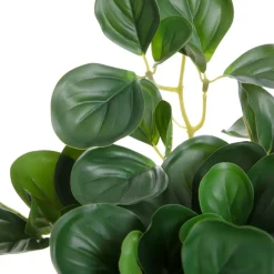 HOMLA Roslina Sztuczna Tropical Zone Pepperomia 43 Cm Best